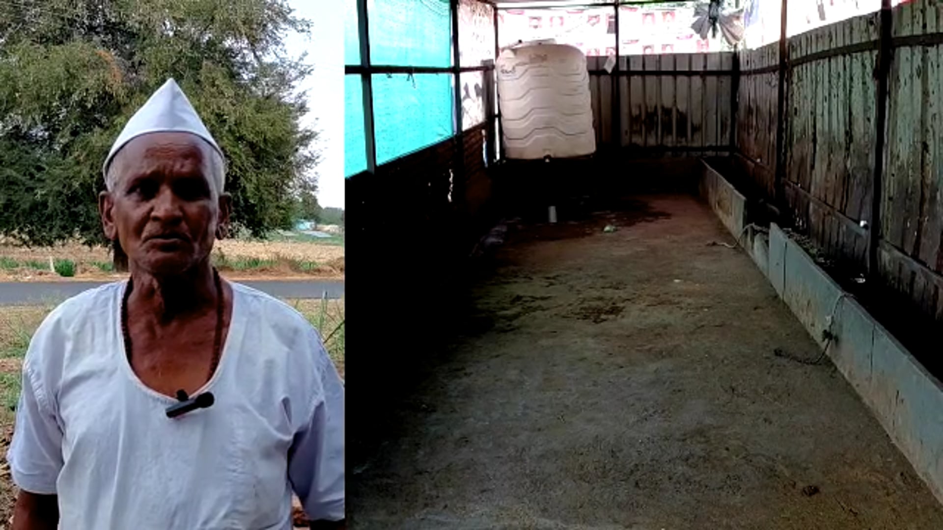 नागलगाव येथे चोरट्यांने शेतकऱ्यांच्या सहा पैकी पाच म्हशी पळविल्या