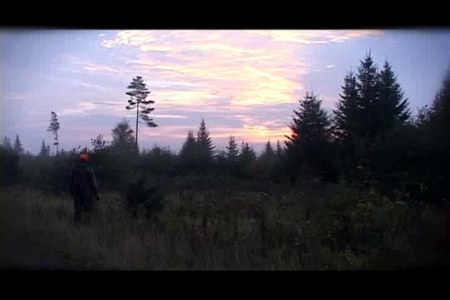 Moose Hunting in Maine