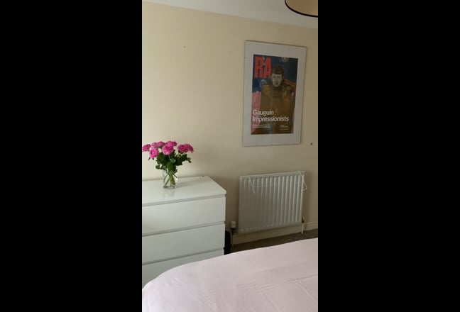 🌸 Cosy Pink Double | Zone 2 | 2 mins Canada Water Main Photo