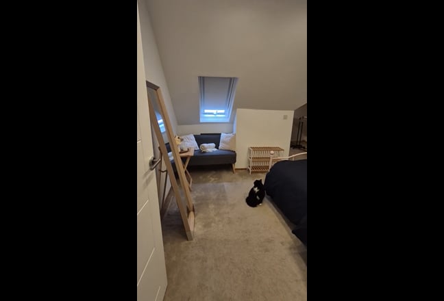 Double room in Meyrick Park  Main Photo