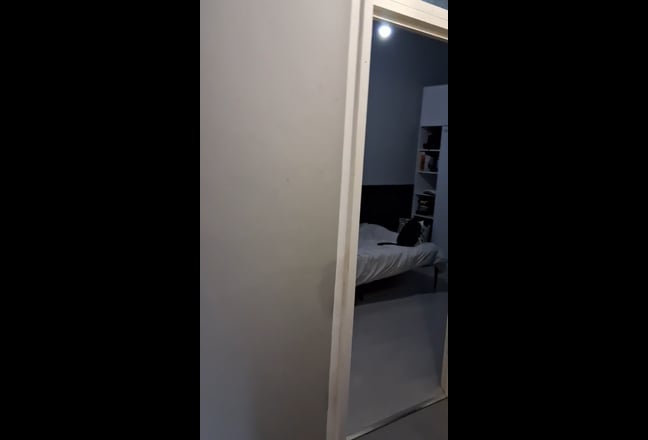 Bloomsbury Dble Room for Prof Female Main Photo