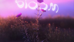 Bloom concept - 3D & Sound Design | Axyla