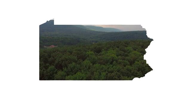 Keep It Growing – Tree Pittsburgh