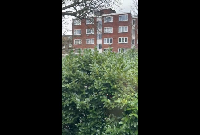 Spacious Double Room with flexible move-in date Main Photo