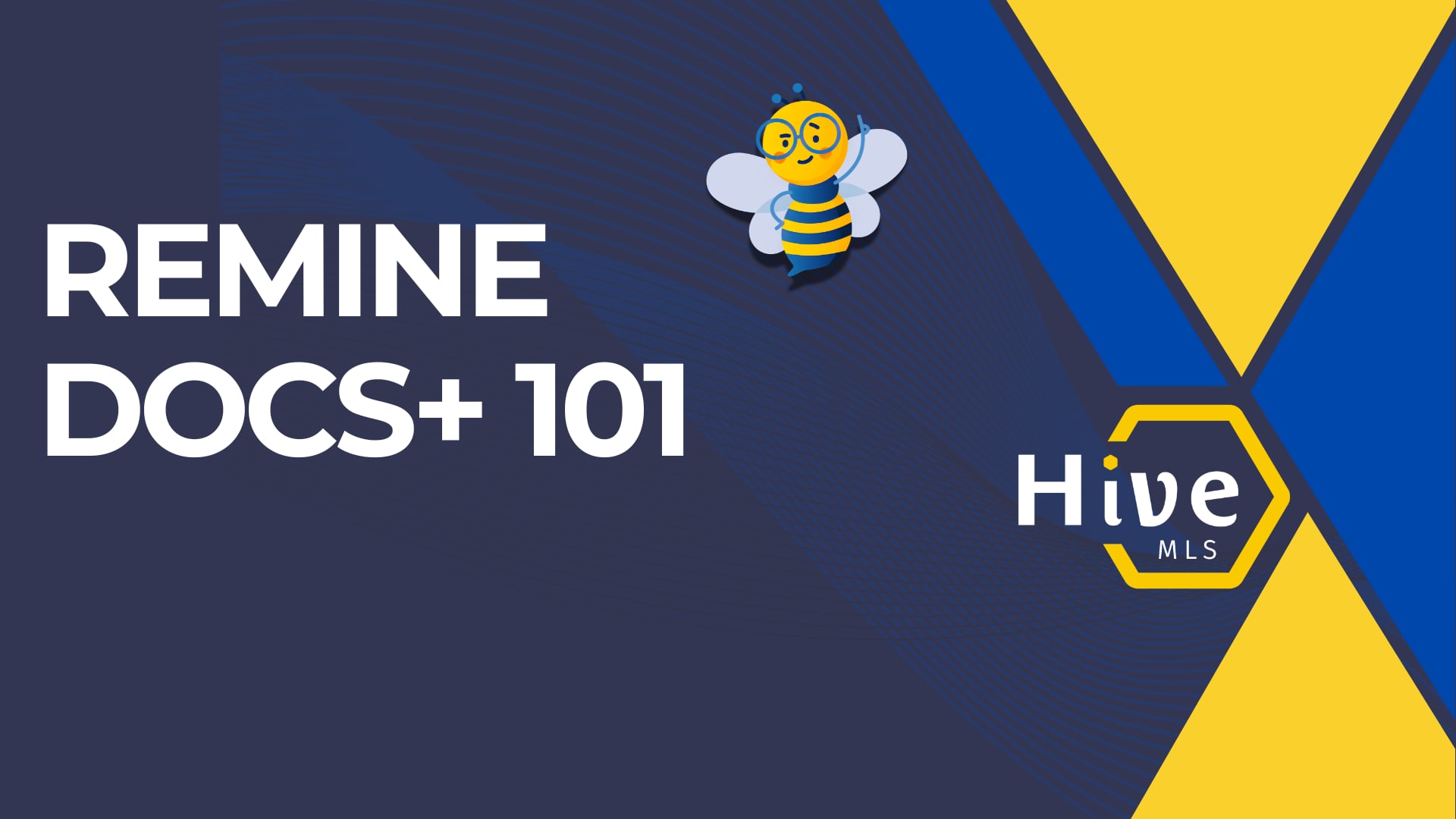 Remine Docs+ 101
