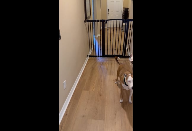 Secluded section 2 rooms and private bathroom  Main Photo