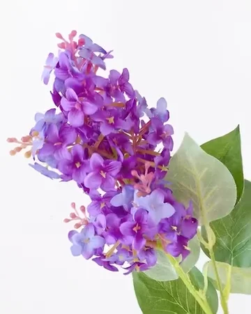 ﾗｲﾗｯｸ: 造花（アーティフィシャルフラワー） ｜ YDMオンラインストア