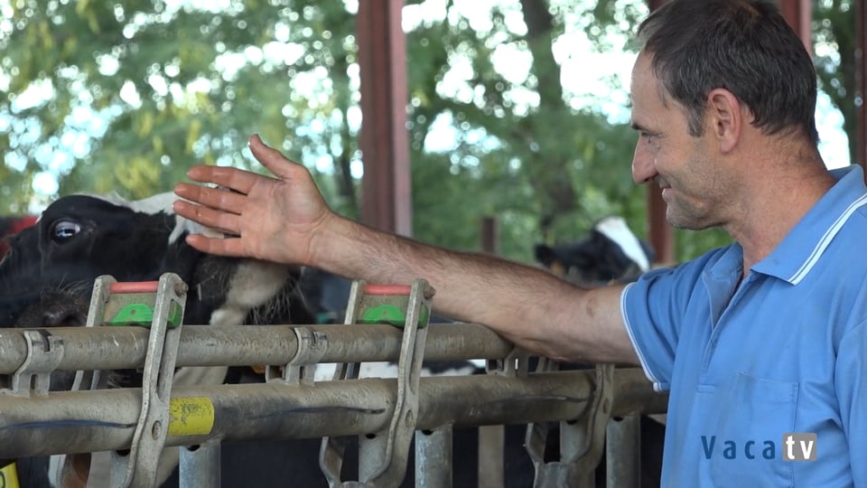 La Fábrega incrementa el número de ordeños y mejora el bienestar de sus vacas con dos Lely Astronaut A5