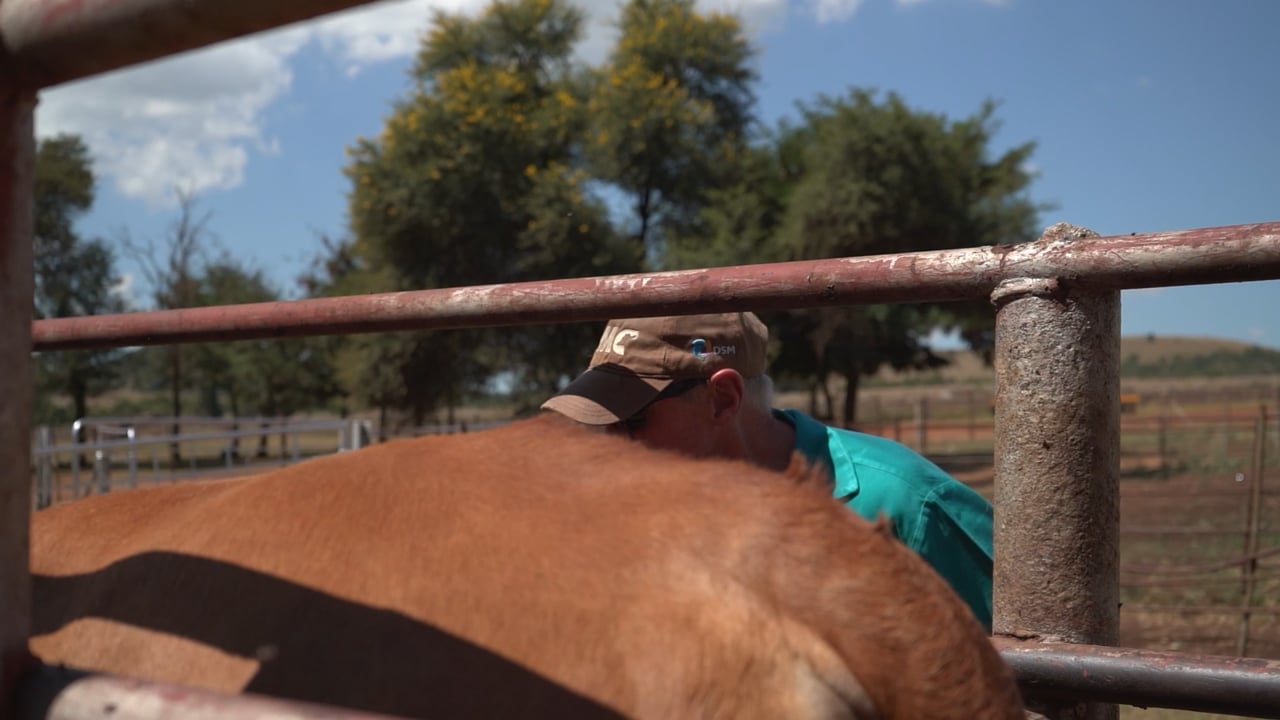 FMD stories  - Wynn-With Milk farm