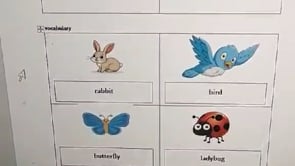 fc9b1e68-3938-49c7-bbe3-a92ae998865f.mp4