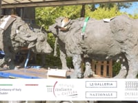 ''Grazing in Lucan'' - Promo video