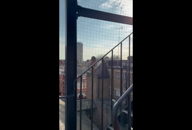 Private room for rent in zone one Main Photo