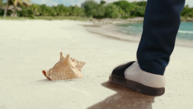 Thumbnail for Shellphone