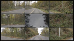 Related Embedded Video Item Thumbnail