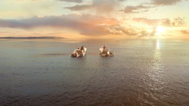 Discovery x Dairy Queen SharkWeek