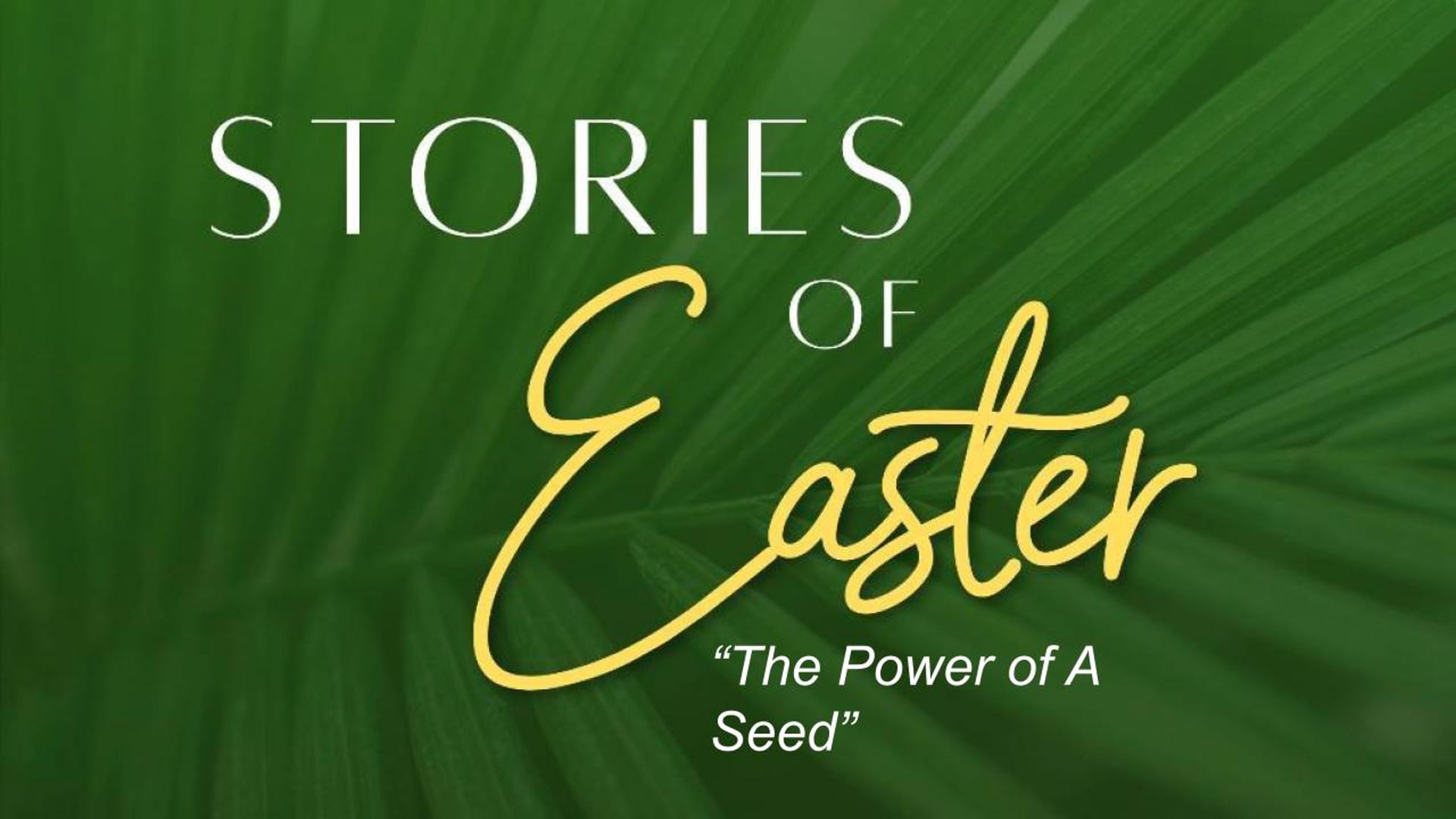 The Power of the Seed | March 1, 2026