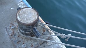 Comença la segona aturada de les barques d’encerclament a l’Escala