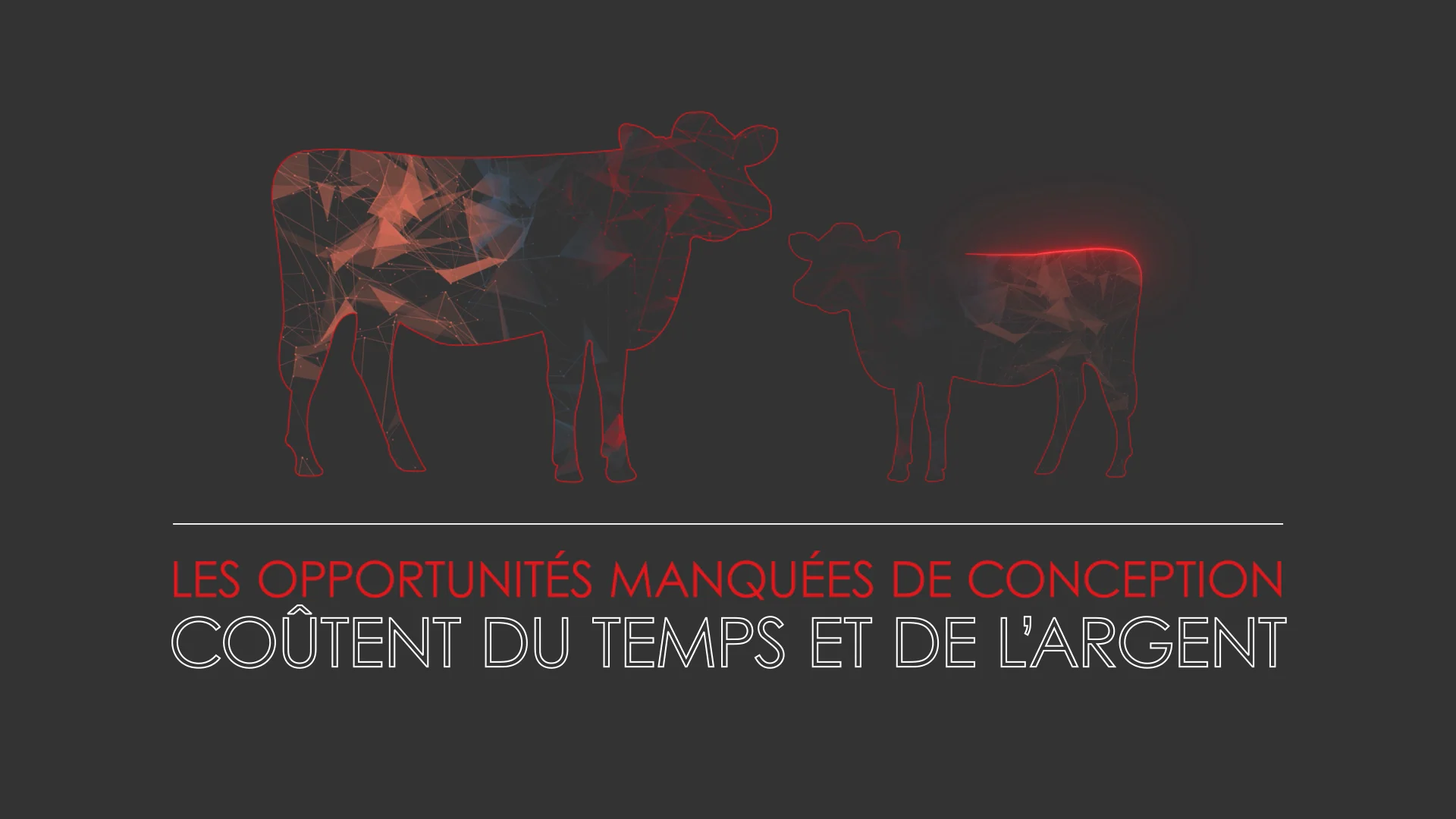 video BovIntel