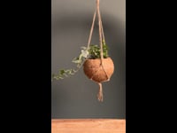 Macetero-colgante-Video