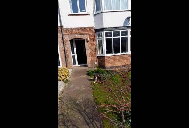 Lovely room available in quiet cul de sac Main Photo