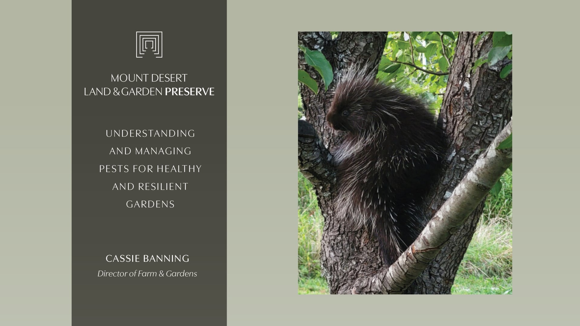 Webinar: Understanding and managing pests for healthy and resilient gardens