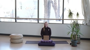 Related Embedded Video Item Thumbnail