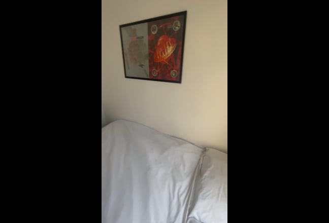 Great Room & Private Living Room ! Turnpike Lane  Main Photo