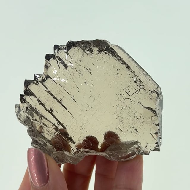 Quartz var. Amethyst and Smoky - SM20-288 - Goboboseb Mountains