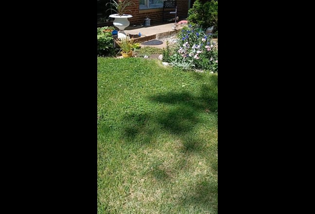 Room for Rent Main Photo