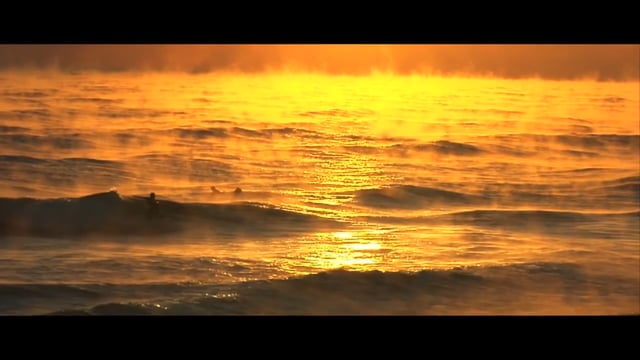 PURPOSE [OFFICIAL FILM]