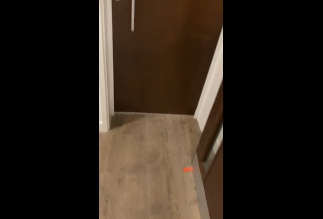 1-bed flat in the heart of Lewisham*Immediately Mo Main Photo