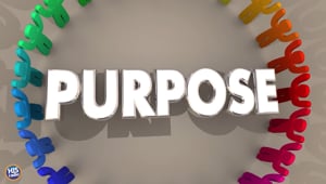 What Were You Created For?