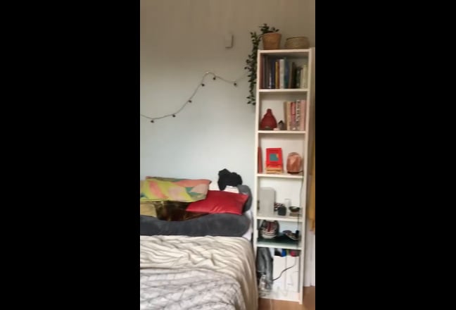 Double bedroom in cosy 3 bed flat :)   Main Photo