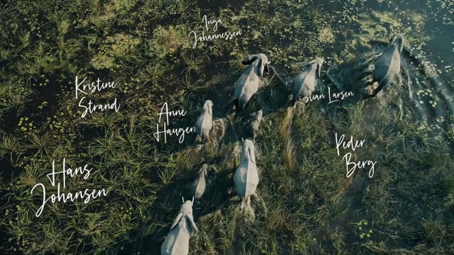 deVine Voices Native Norwegian Female Voiceover WWF Commercial