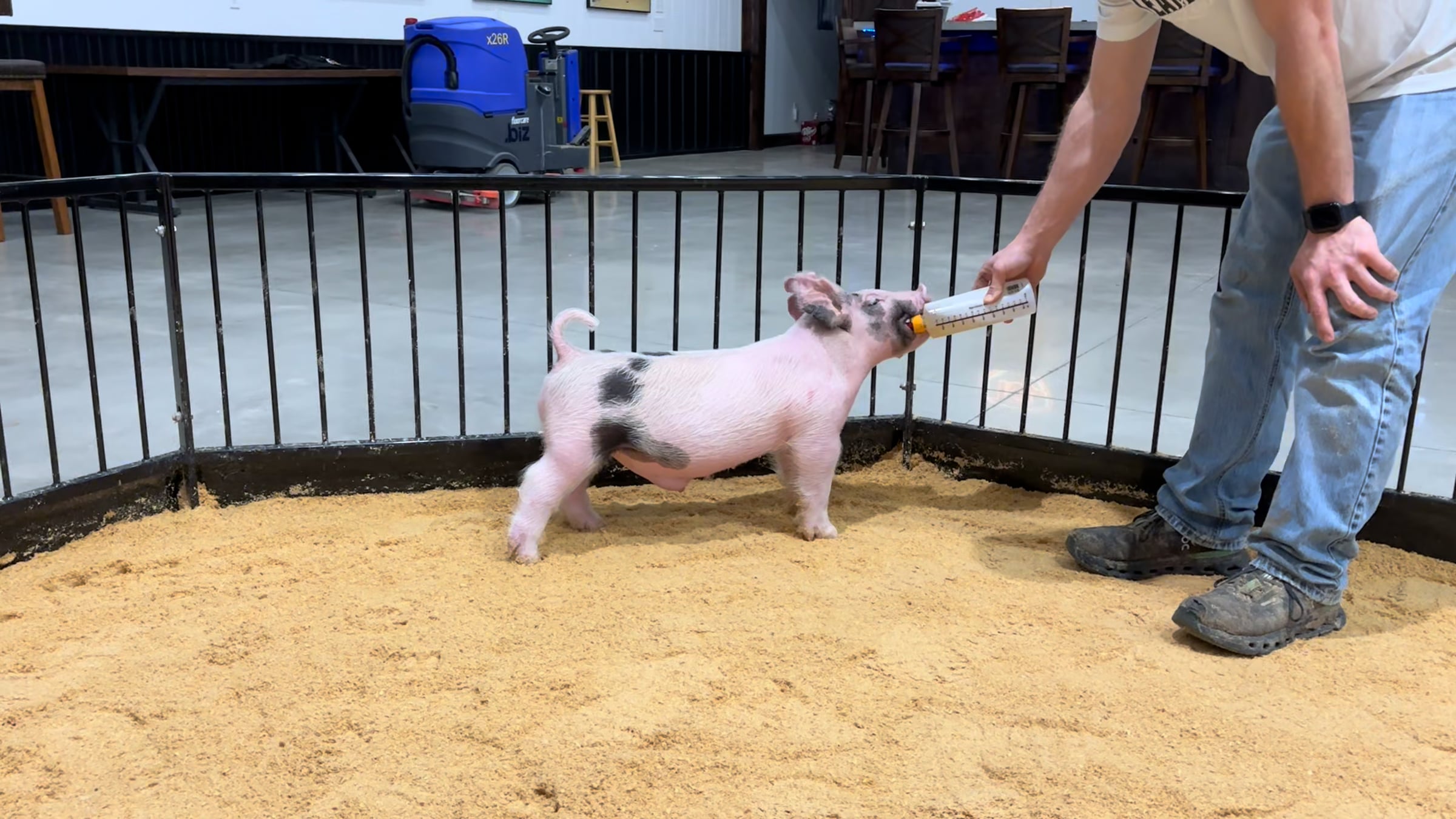 109-3 x boar | Videos & Movies on Vimeo