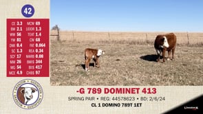 Lot #42 - -G 789 DOMINET 413