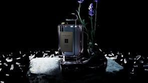 Related Embedded Video Item Thumbnail