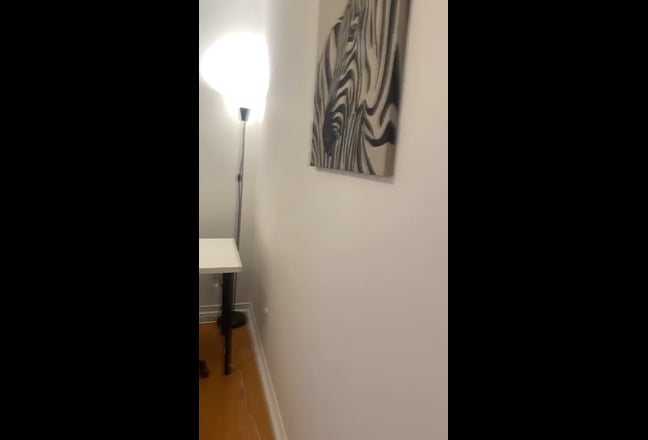  Furnished Apartment at Lawrence House Main Photo