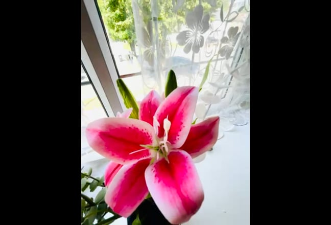 Huge Double Rooms in Wembley  Main Photo