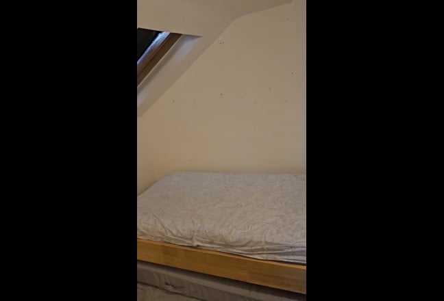 Single room for rent Main Photo