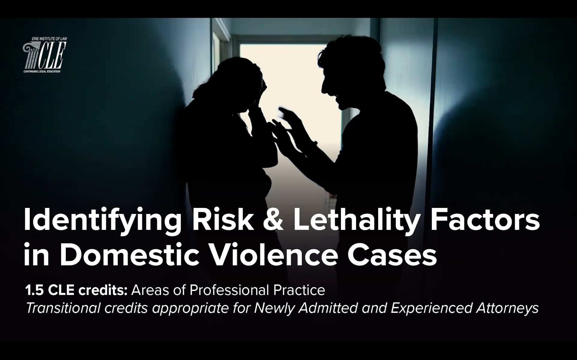 Watch #2515 Identifying Risk and Lethality Factors in Domestic Violence ...