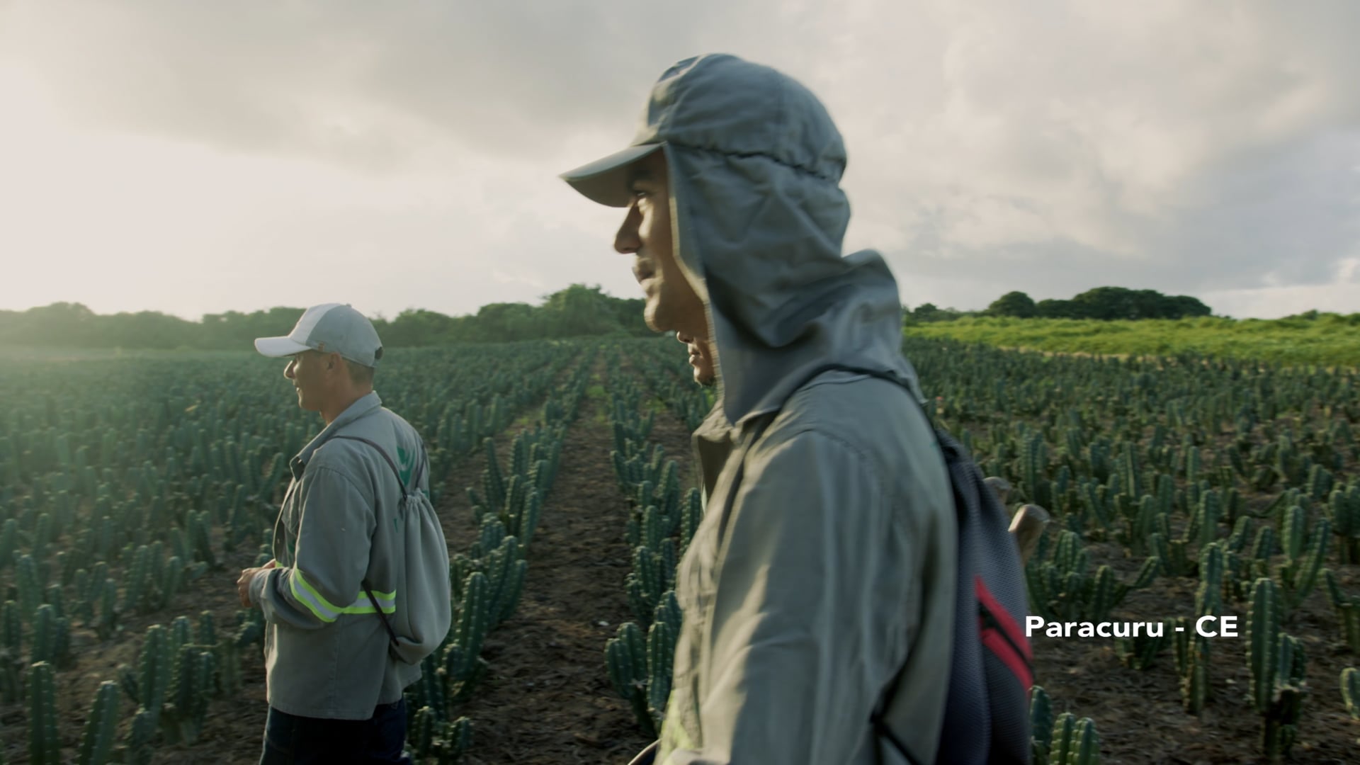 Naturayo - Institucional @2025