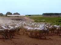 Geral Lotes<br>05T/06T/07T/08T/09T