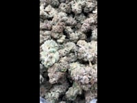 Billy kimber og