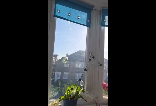 Ocean/Forest Room with a private garden Main Photo