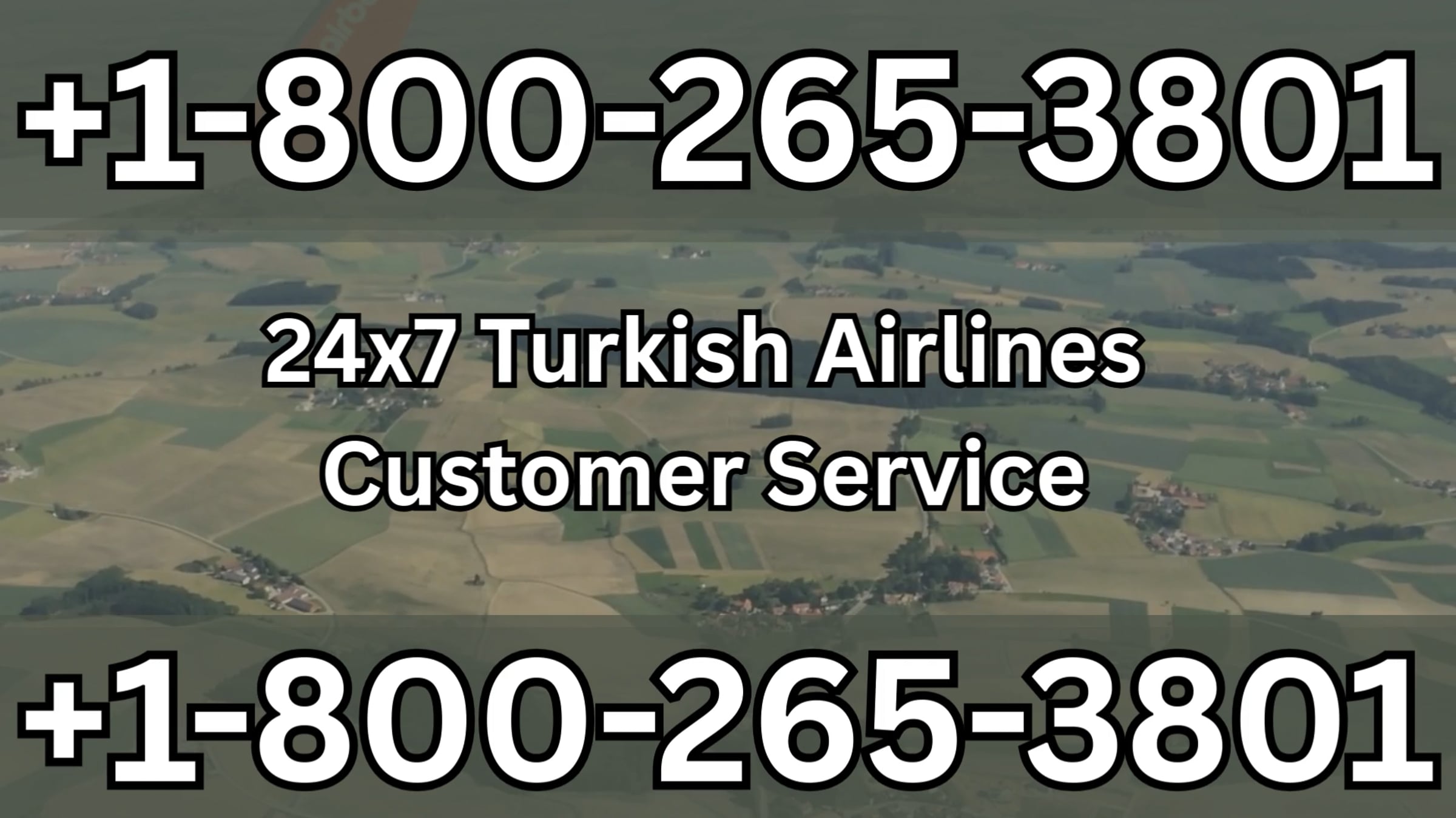 Turkish® Airlines Customer Service Made Easy: Best Ways to Reach Live ...