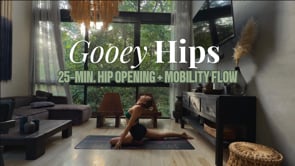 *NEW* 25-Min. Vinyasa Flow w/ Gooey Hip Openers + Mobility