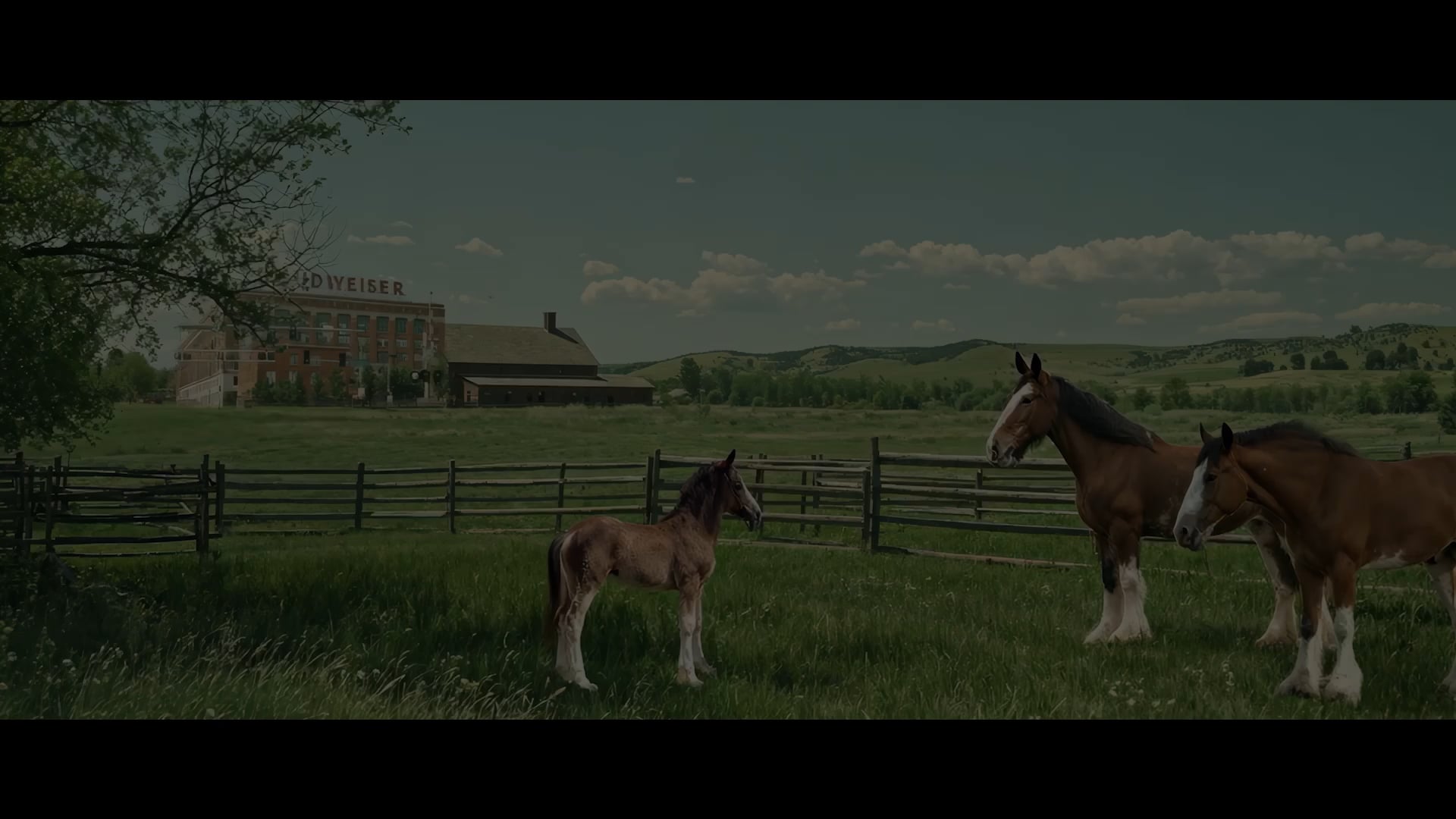 Budweiser | First Delivery