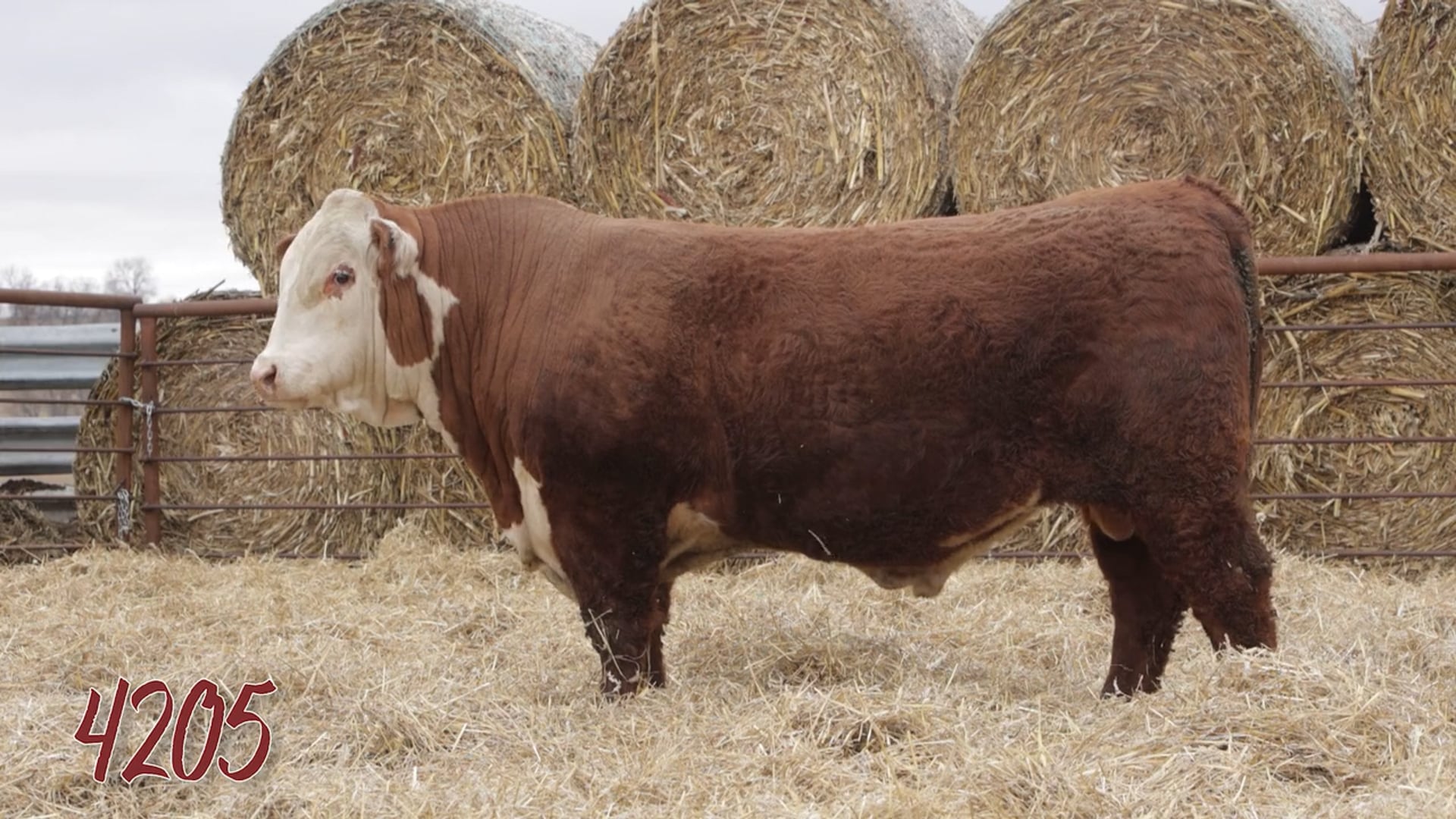 Lot 4205 SRR MR 0921 TESTED 4205