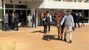 動画サムネイル